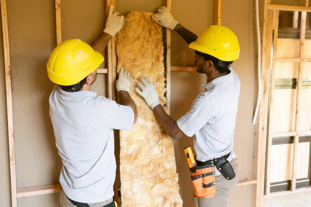 Best Residential Insulation Services  in Gowanda, NY