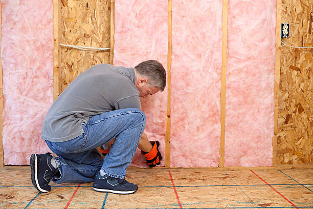Best Professional Insulation Contractor  in Gowanda, NY