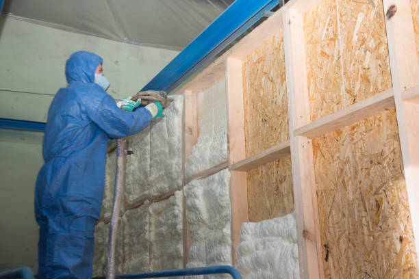 Best Blown-in Insulation  in Gowanda, NY