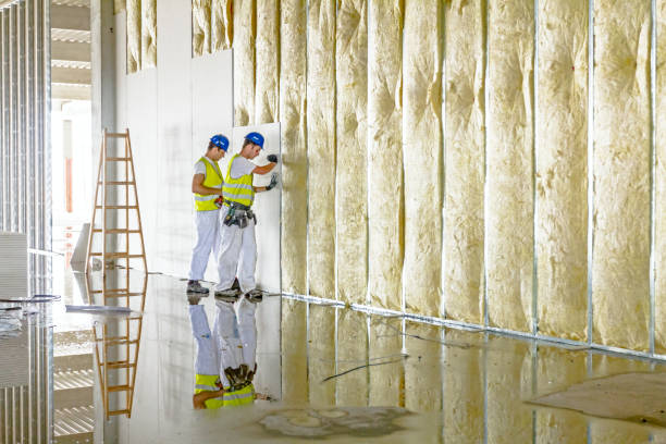 Best Insulation Inspection Services  in Gowanda, NY